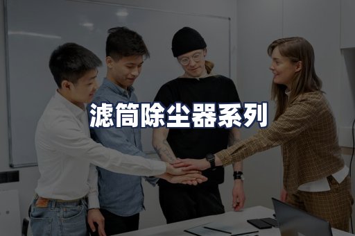 滤筒除尘器系列